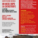 01/12/2018 – PIANA DELLA MARCESINA: MARCIA A FAVORE DEGLI ANIMALI E DELLA FORESTA DEVASTATA