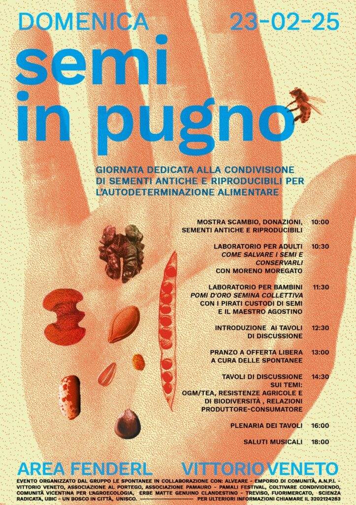23/02/2025 – SEMI IN PUGNO A VITTORIO VENETO